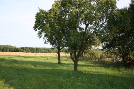 Działki Budowlane - Kaszczor